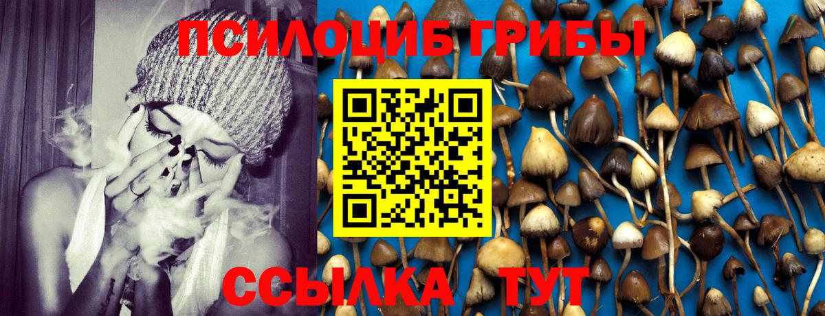 Тольятти  Псилоцибиновые грибы Cubensis  где купить наркоту  Вход с VPN 